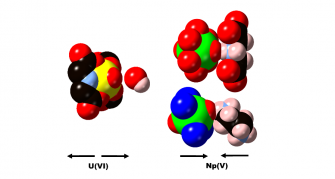 Interactions between H-donors and U(VI) and Np(V) oxo groups impact the thermal expansion properties