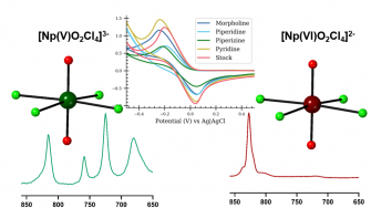 Crystallization of Np(V) tetrachlorides over Np (VI) species occurs with charge assisted hydrogen bonding