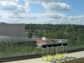 The view of the Iowa River from the Forbes Research Group lab