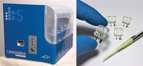 nCS1 Nanoparticle Characterization