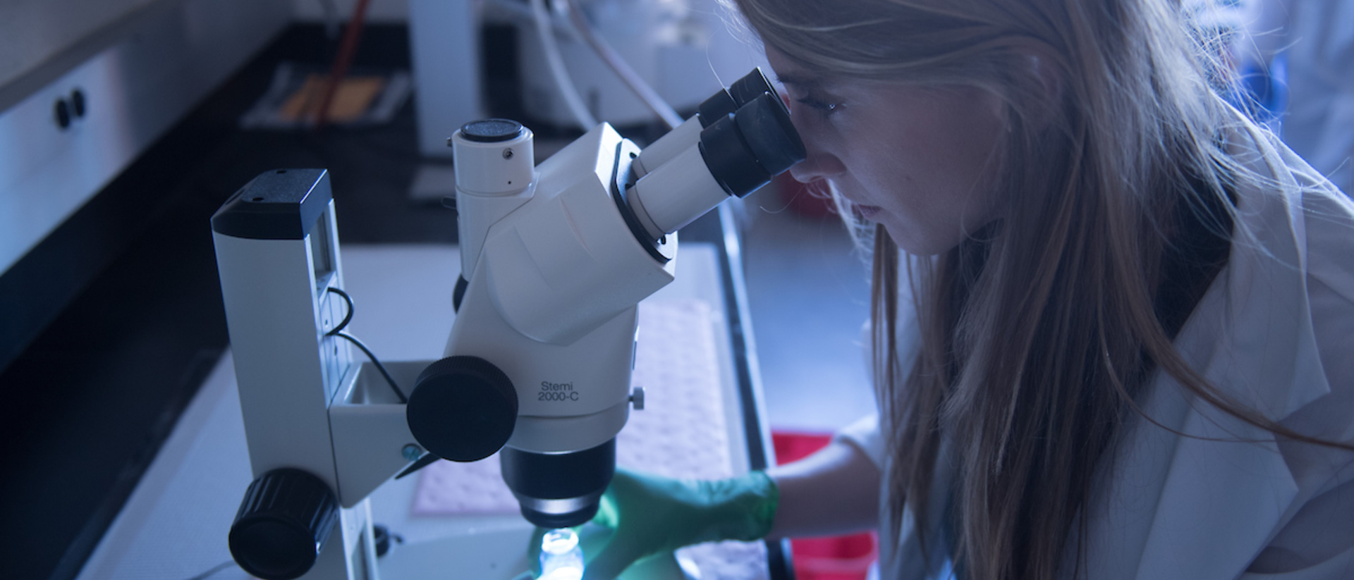Graduate Programs | Chemistry - College of Liberal Arts and Sciences ...